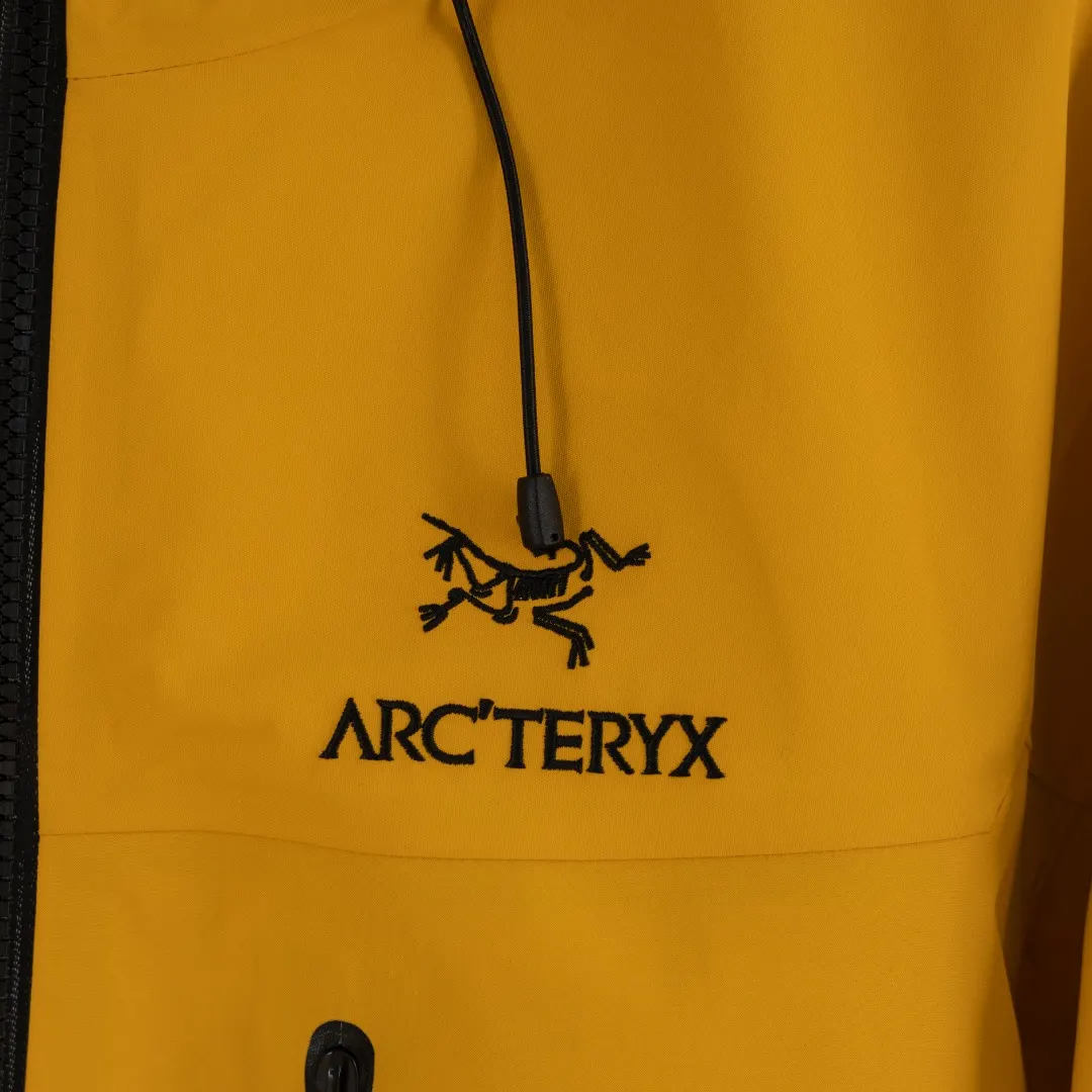 Alpha SV GORE-TEX Pro Hooded Shell Jacket D40013413 — view 5