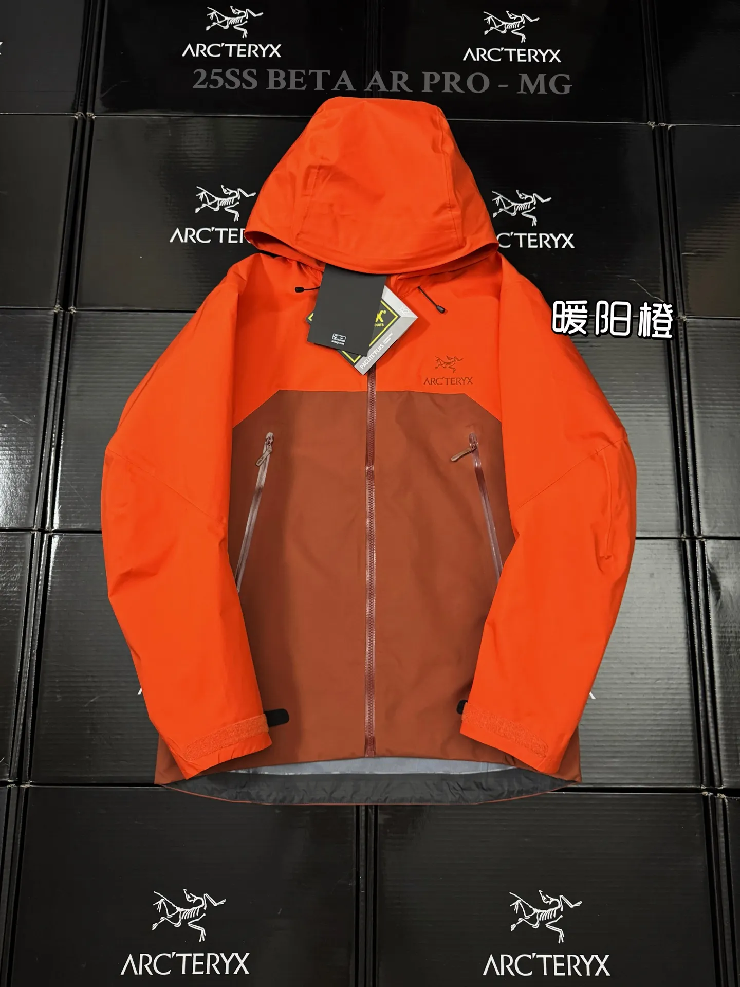 Beta AR GORE-TEX PRO Hooded Shell Jacket D43019505