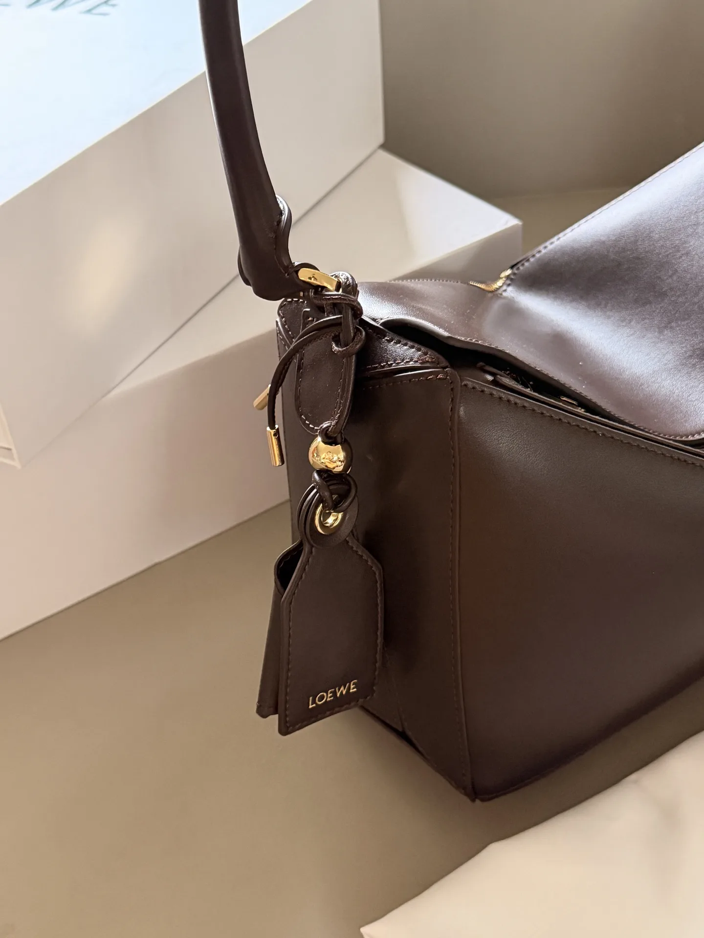 Loewe Puzzle Hobo Shoulder Bag D43517807 — view 4