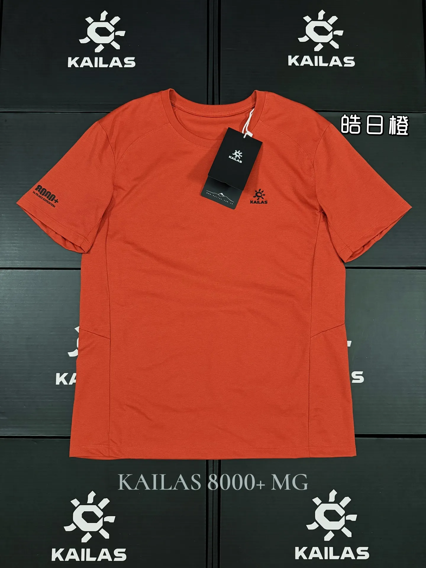 Kailas Quick-Dry Performance T-Shirt D18011089 — view 3