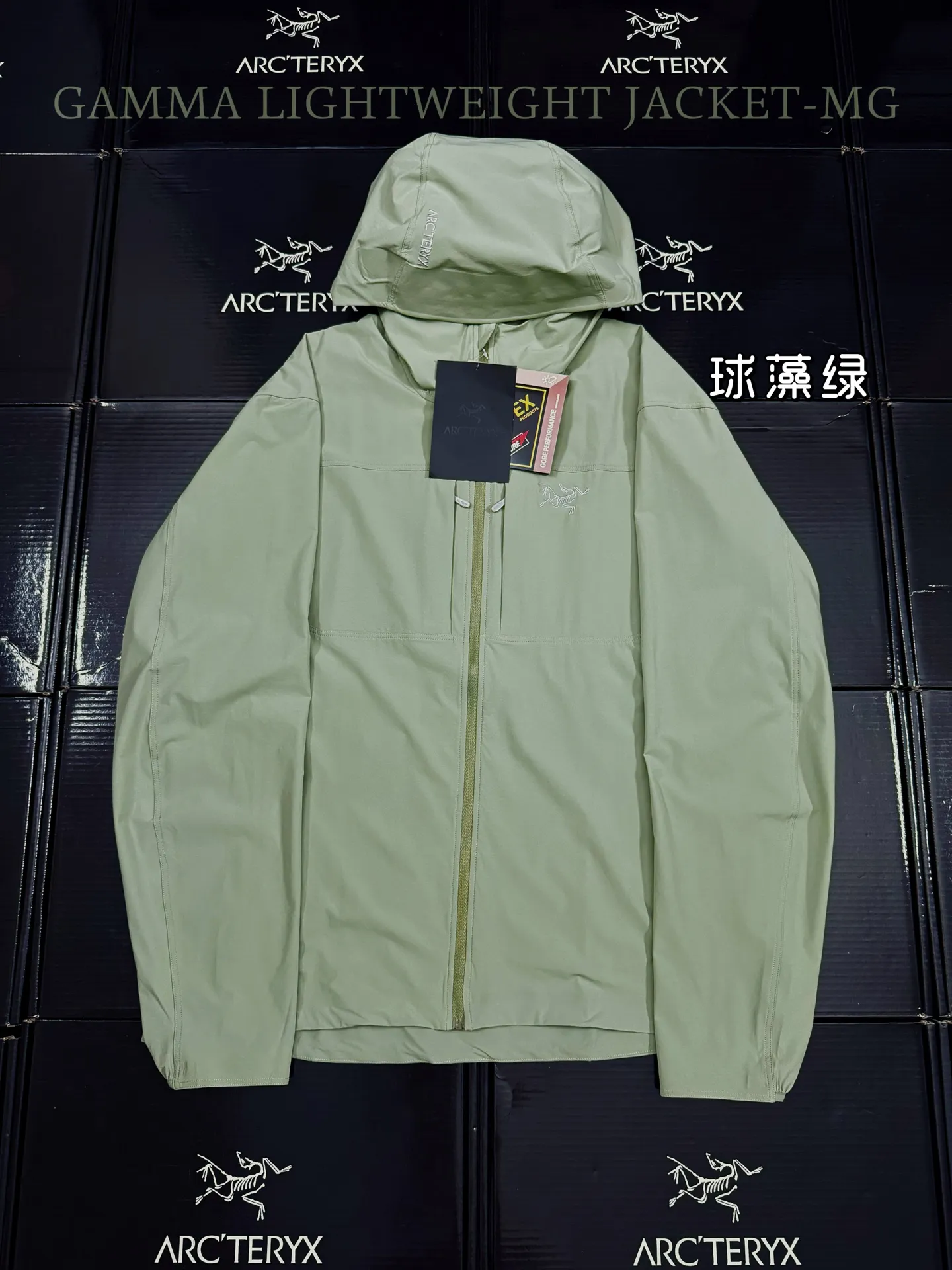 Gamma Lightweight Hooded Softshell Jacket D31019513