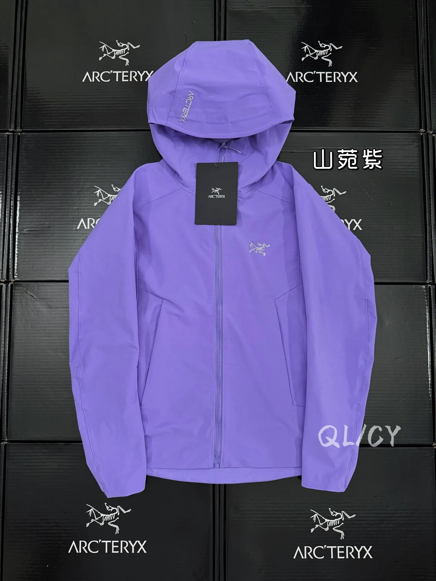 Gamma Hoody Softshell Jacket D32019579