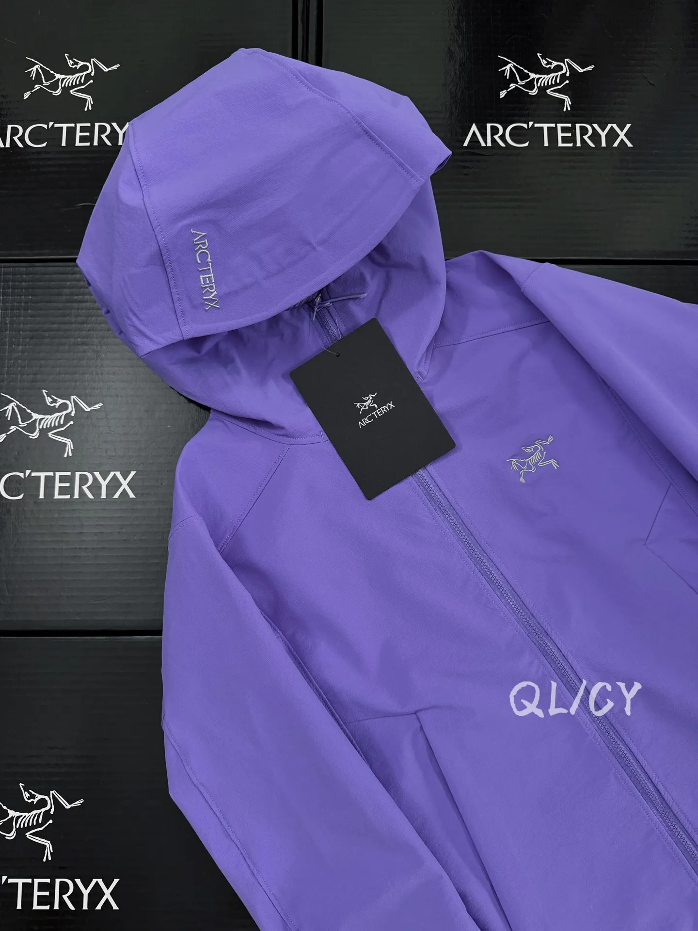 Gamma Hoody Softshell Jacket D32019579 — view 4