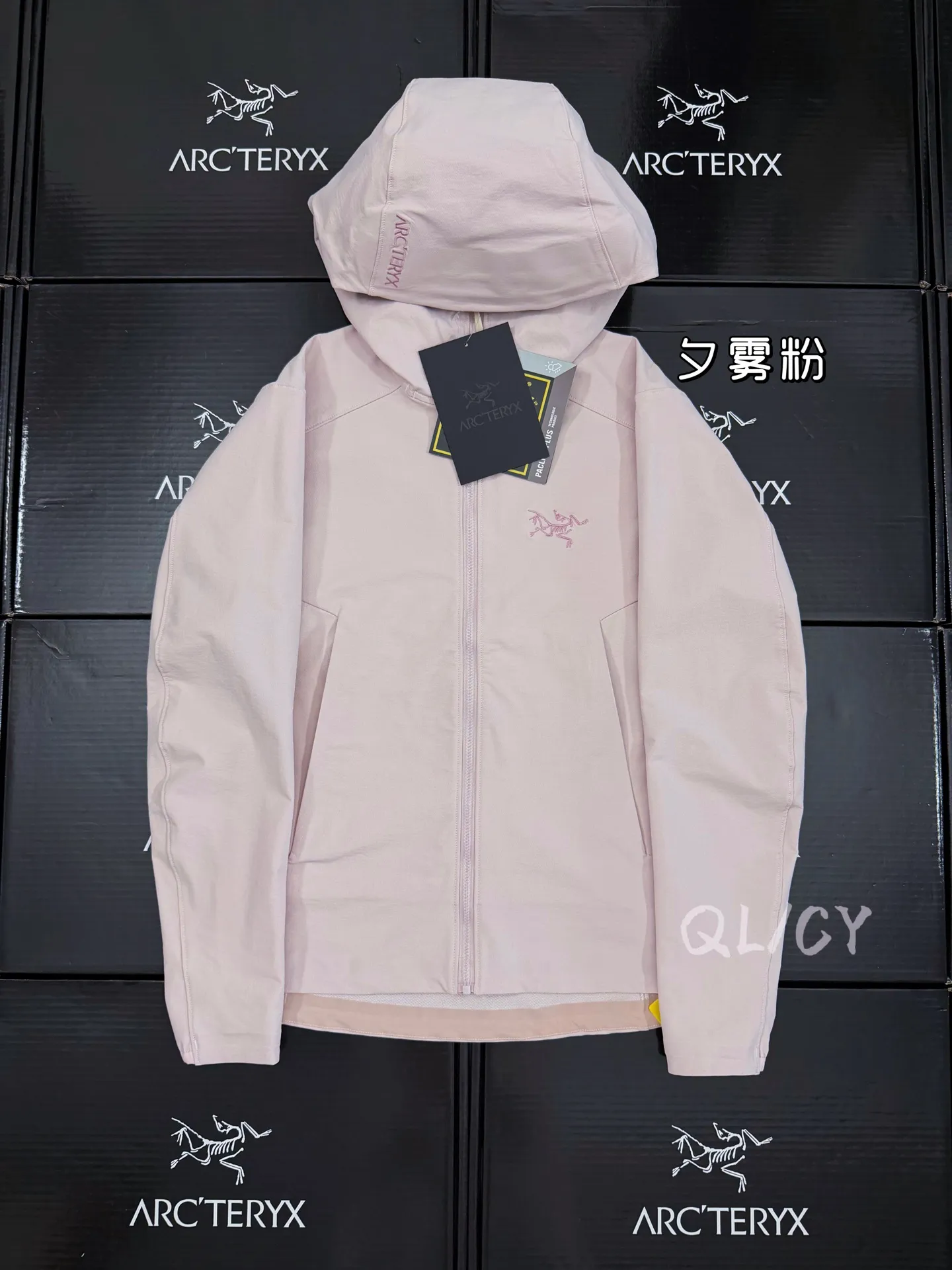 Arc'teryx Gamma Hooded Softshell Jacket D32019576
