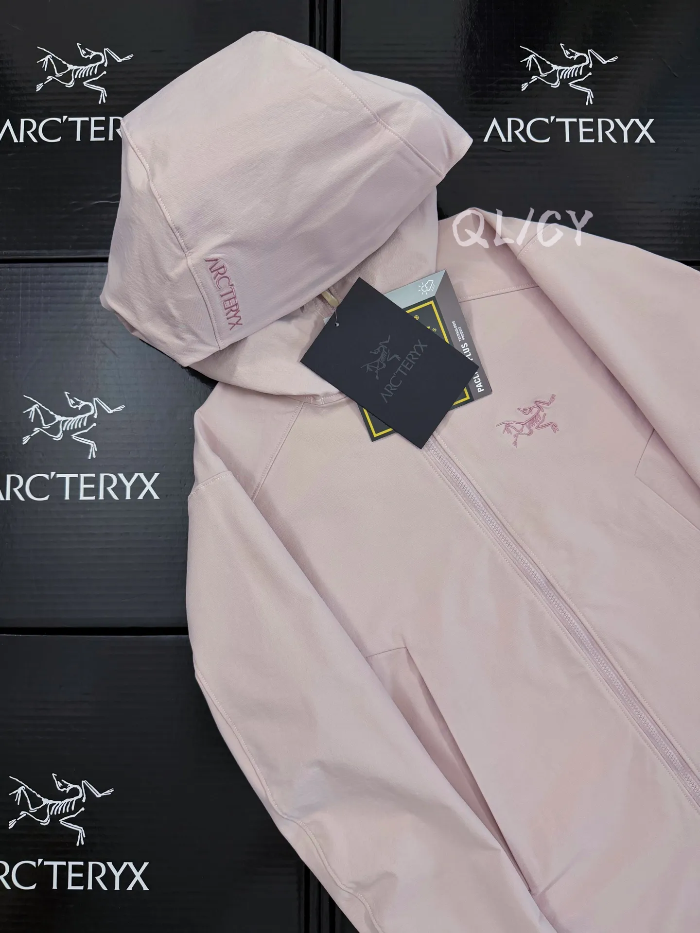 Arc'teryx Gamma Hooded Softshell Jacket D32019576 — view 4