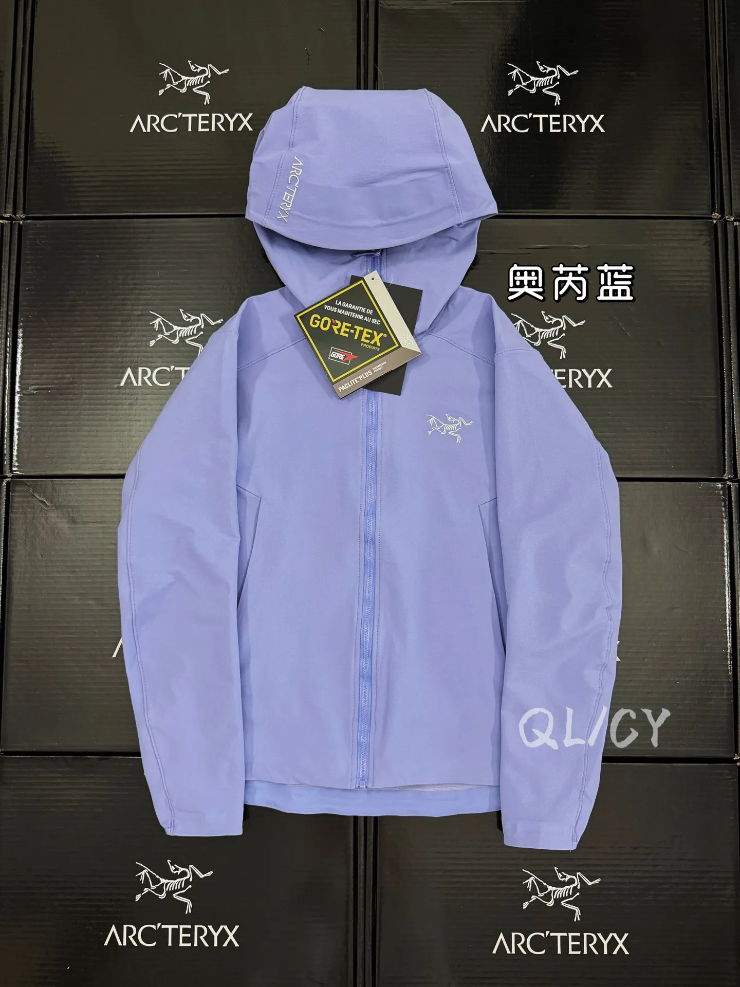 Gamma Hoody Softshell Jacket D32019578