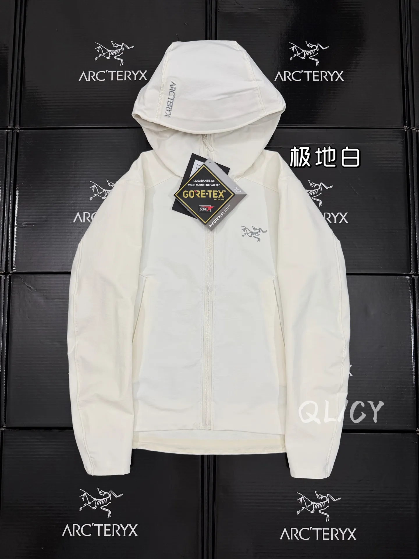 Gamma Hoody Softshell Jacket D32019572