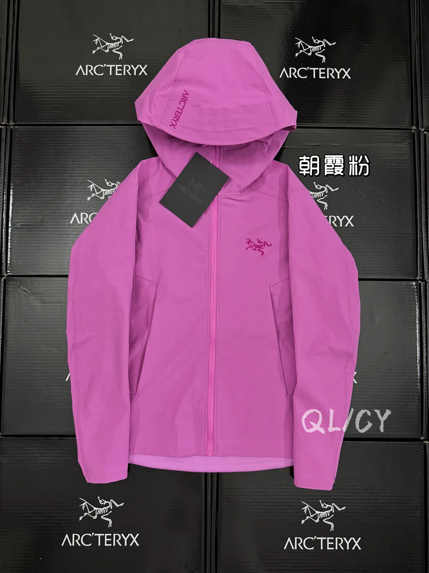Gamma Hooded Softshell Jacket D32019577