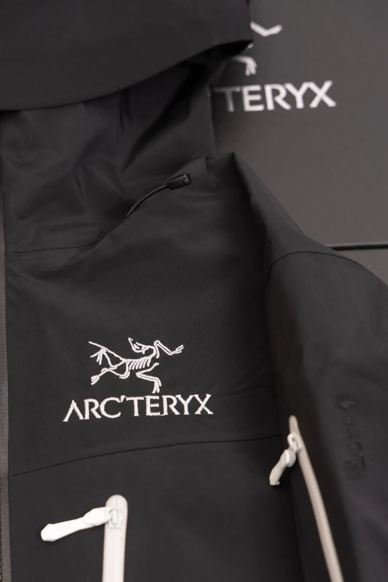 Alpha SV GORE-TEX Hooded Shell Jacket D34019494 — view 2