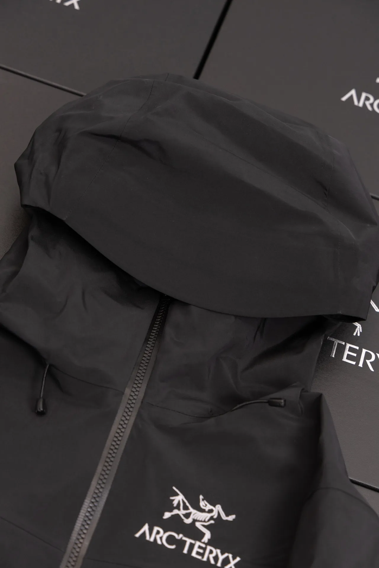 Alpha SV GORE-TEX Hooded Shell Jacket D34019494 — view 5