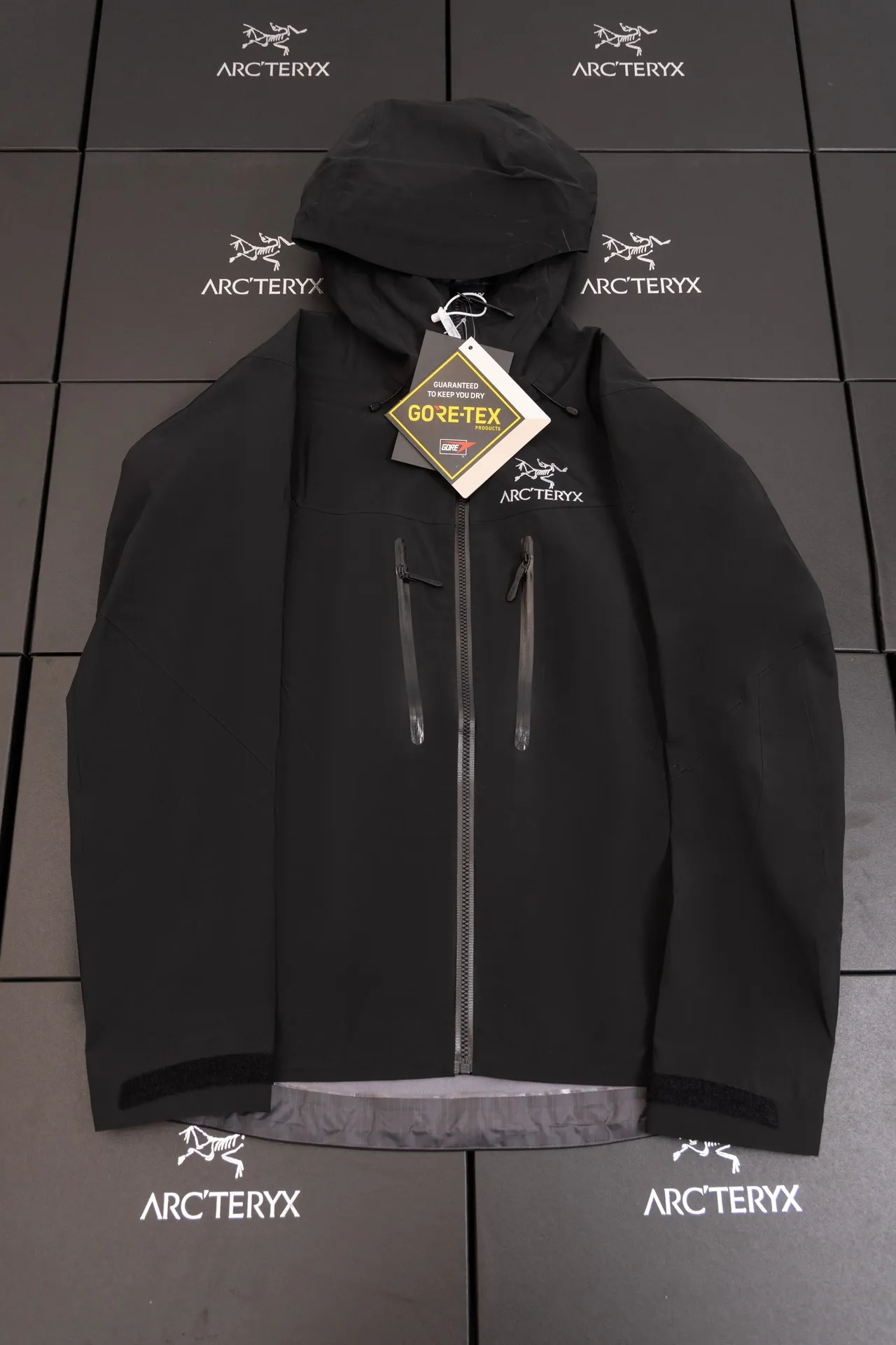 Alpha SV GORE-TEX Hooded Shell Jacket D34019496