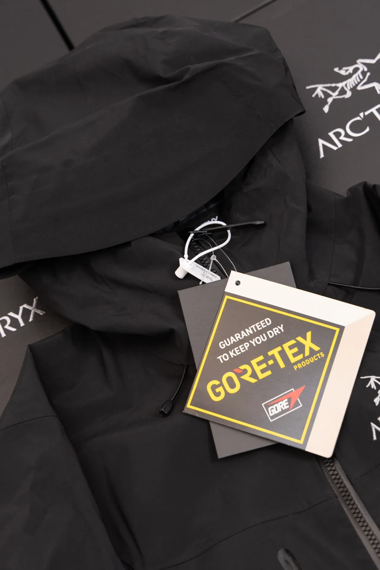 Alpha SV GORE-TEX Hooded Shell Jacket D34019496 — view 9