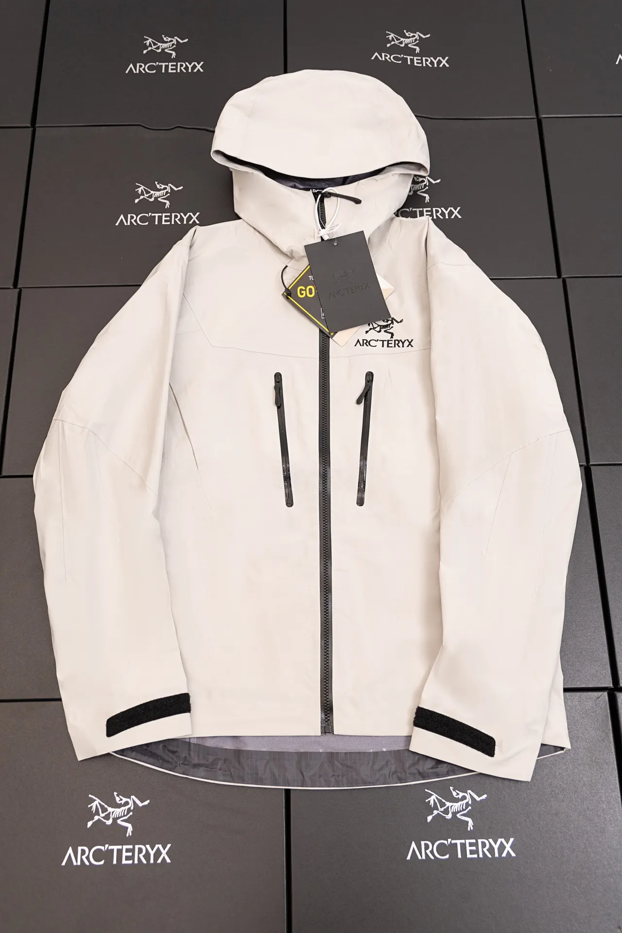 Alpha SV GORE-TEX Hooded Shell Jacket D34019493