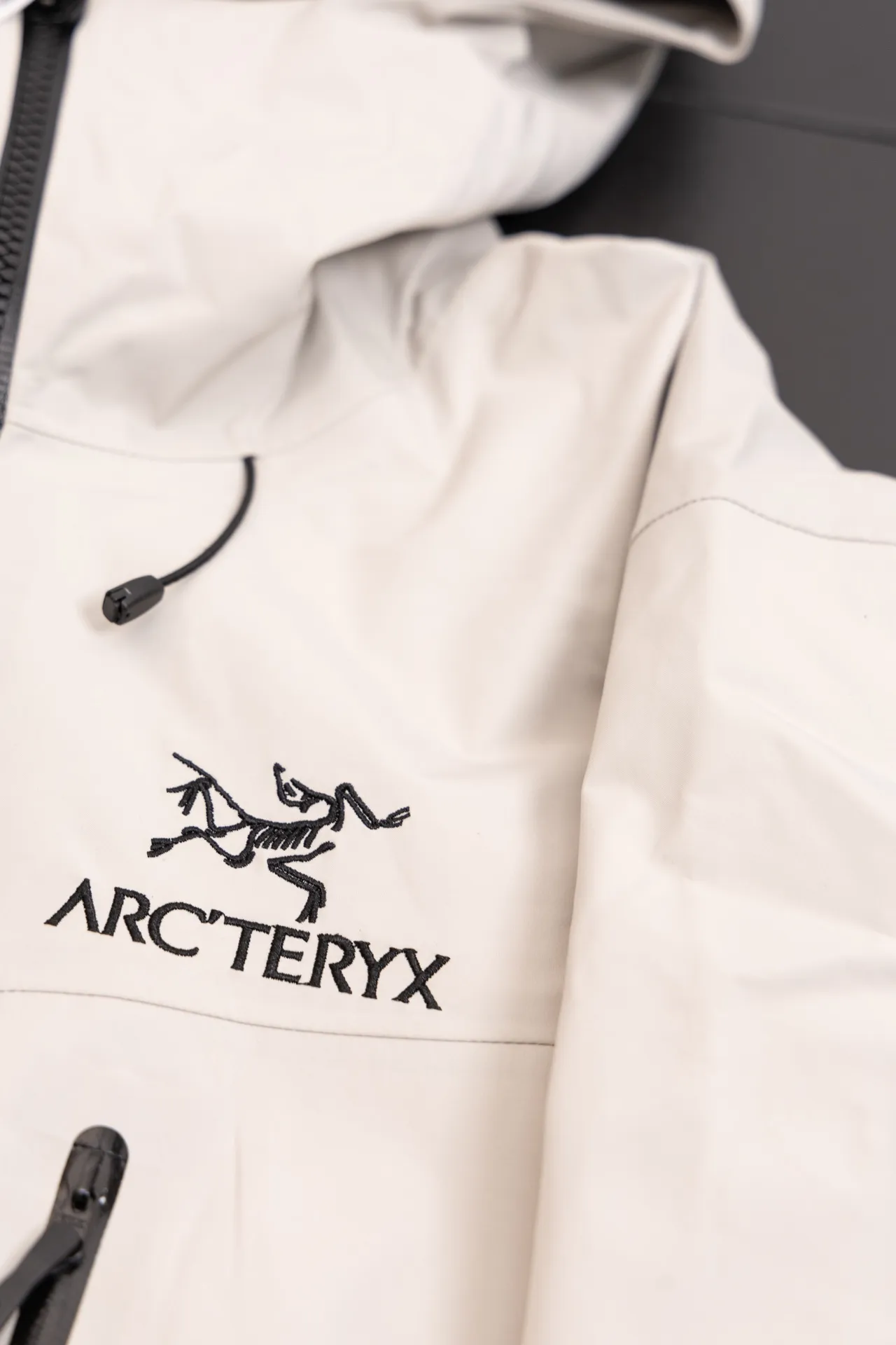 Alpha SV GORE-TEX Hooded Shell Jacket D34019493 — view 4