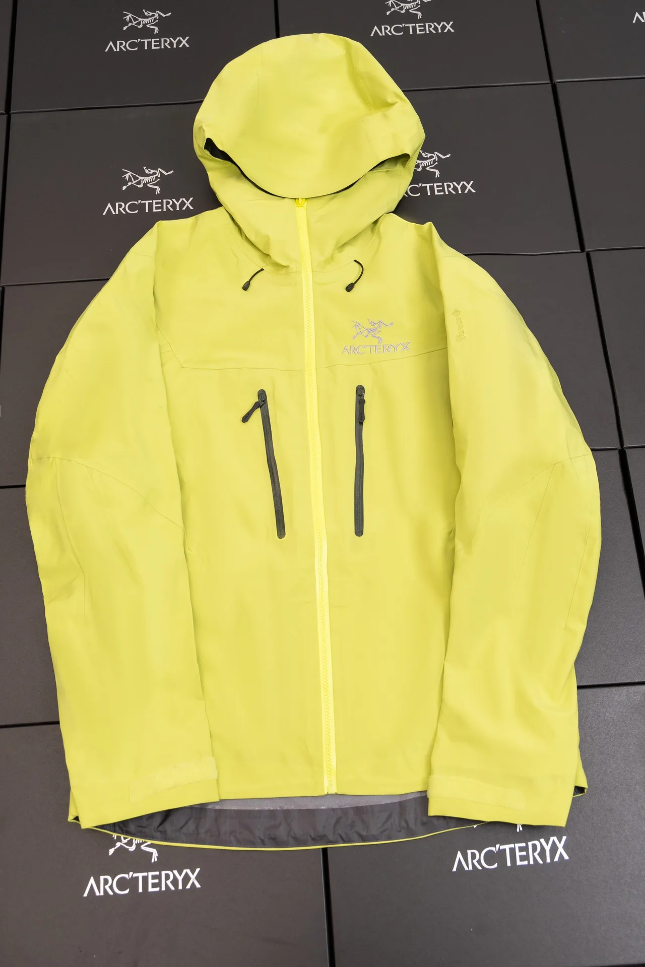Alpha SV GORE-TEX Hooded Shell Jacket D34019492