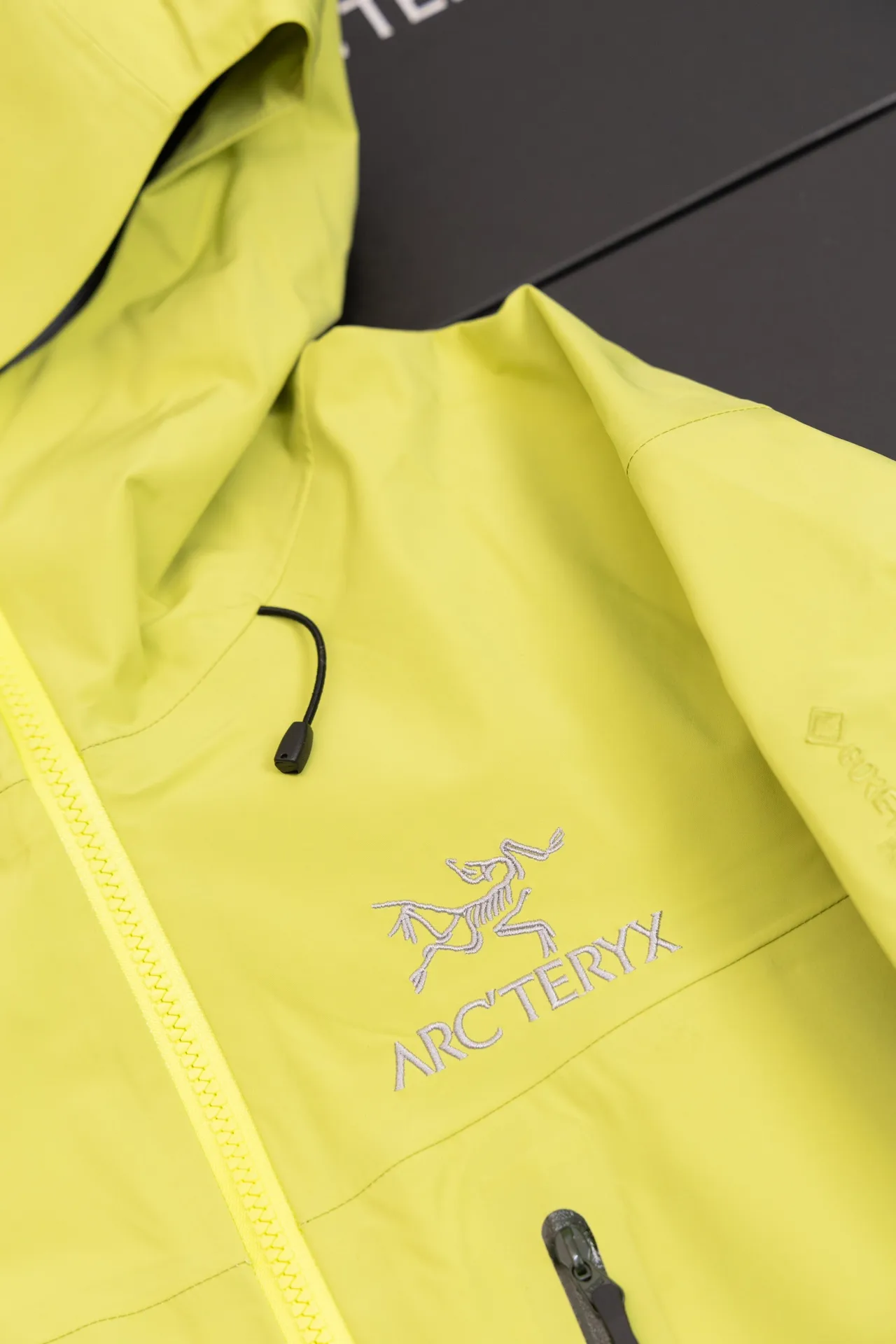 Alpha SV GORE-TEX Hooded Shell Jacket D34019492 — view 10