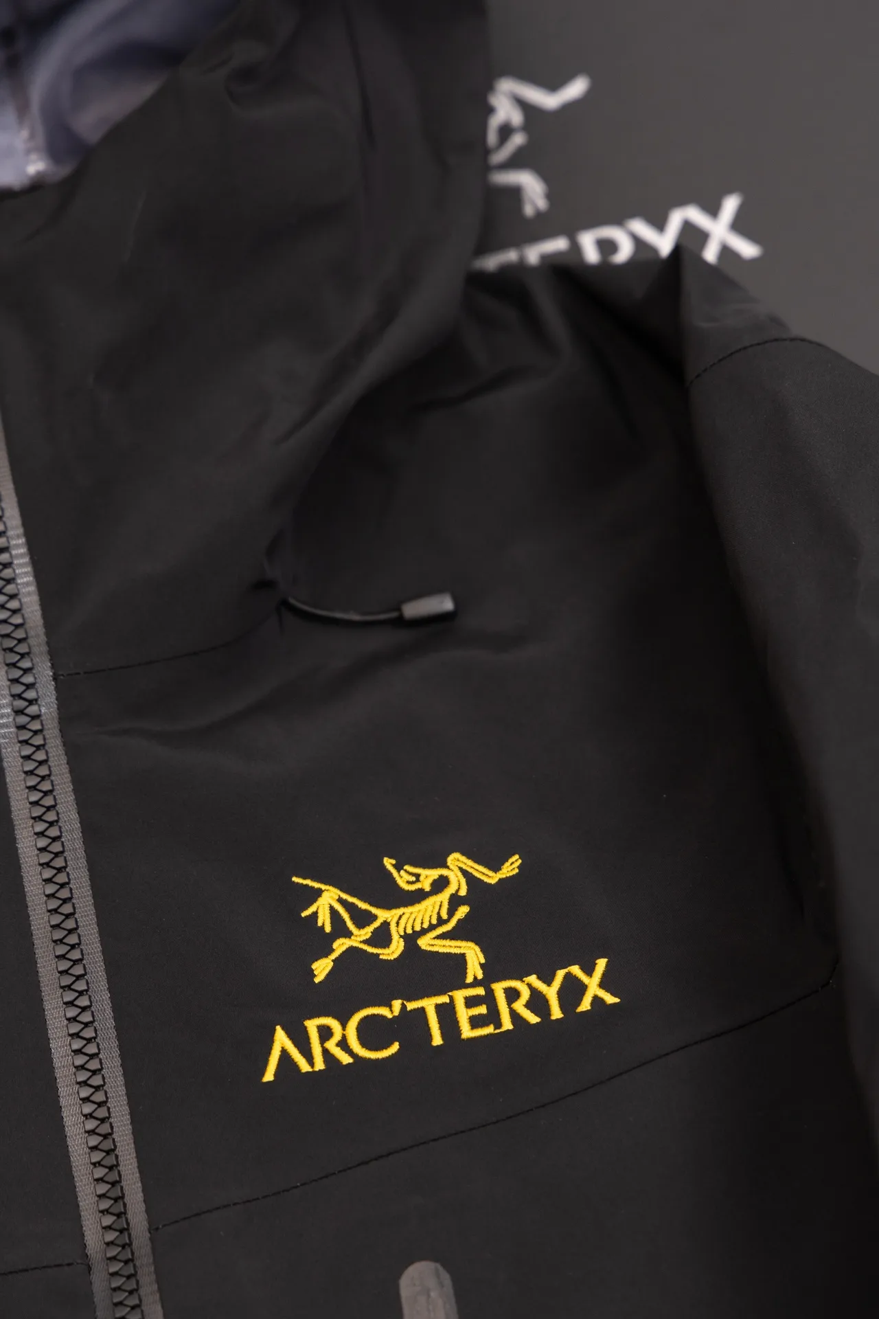 Alpha SV GORE-TEX Hooded Shell Jacket D34019495 — view 3
