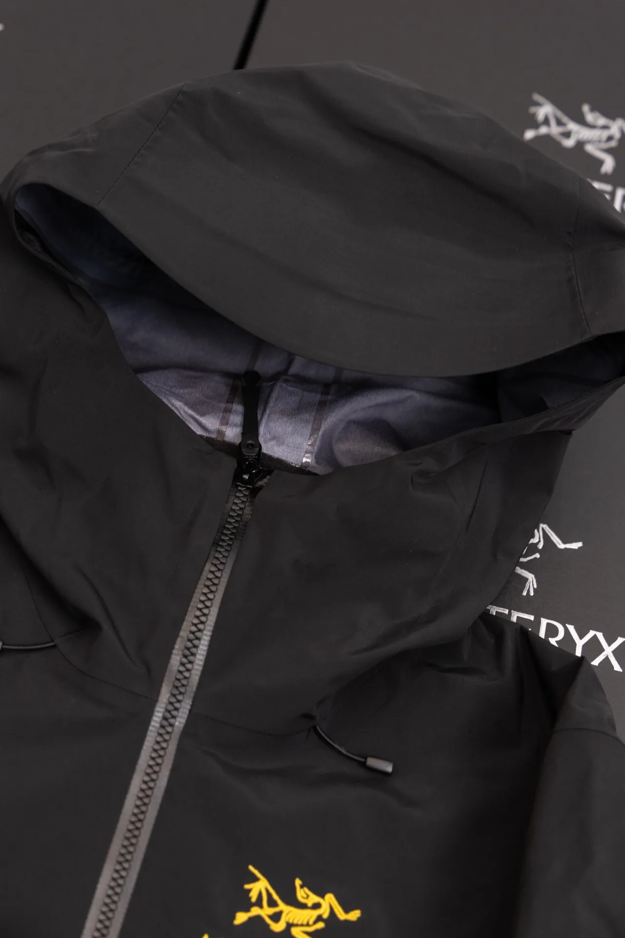 Alpha SV GORE-TEX Hooded Shell Jacket D34019495 — view 5