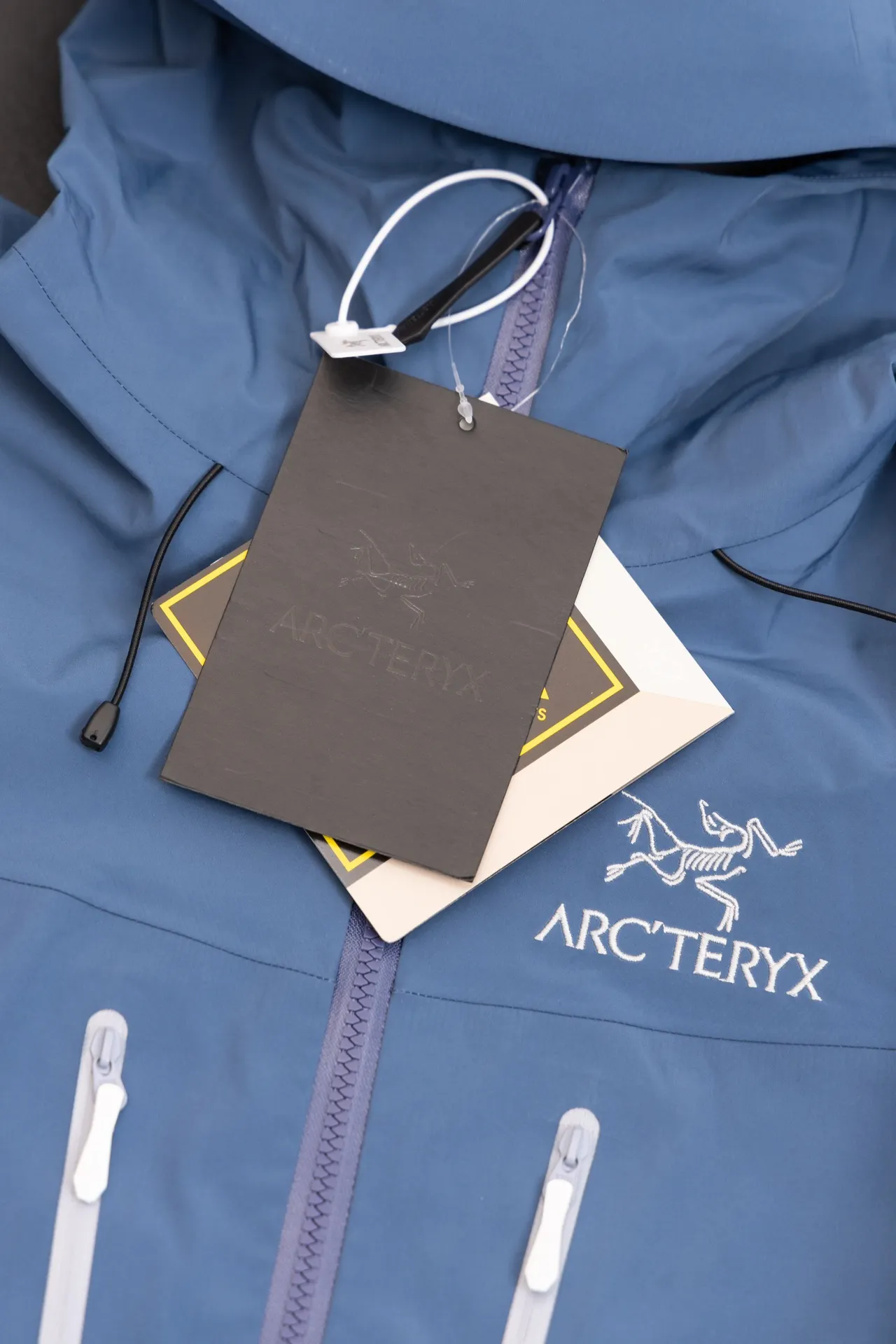 Alpha SV GORE-TEX Hooded Shell Jacket D34019491 — view 4
