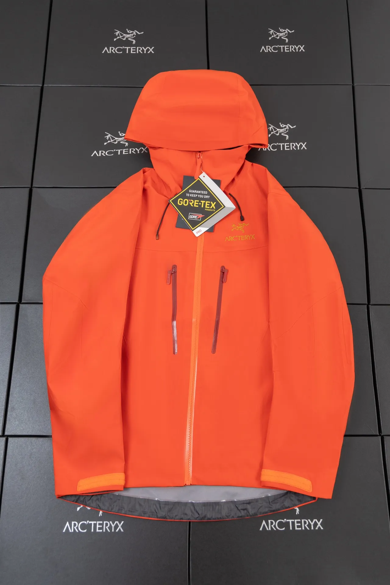 Alpha SV GORE-TEX Hooded Shell Jacket D34019489