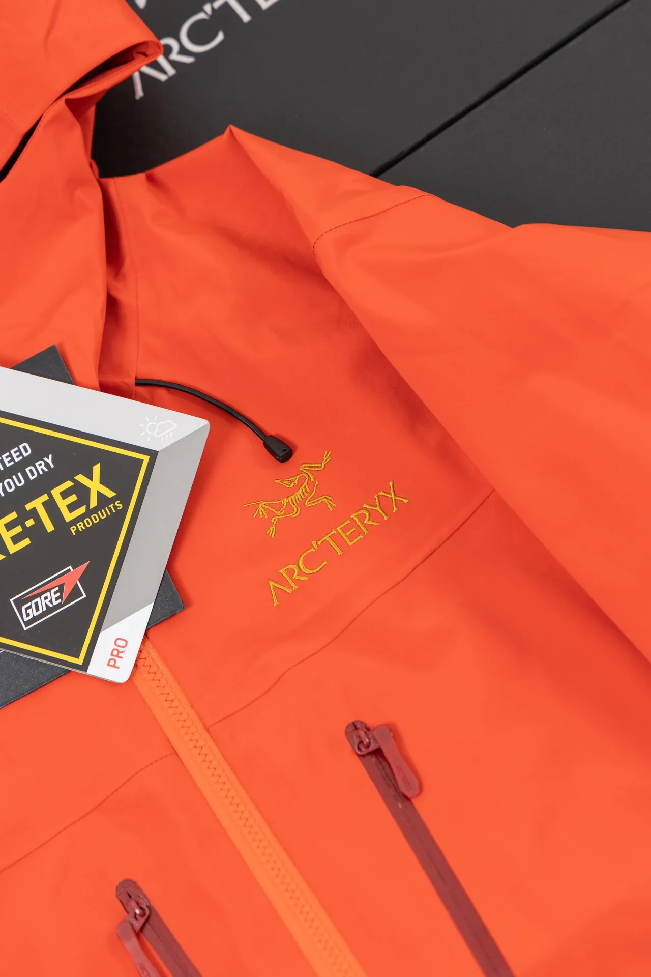 Alpha SV GORE-TEX Hooded Shell Jacket D34019489 — view 2
