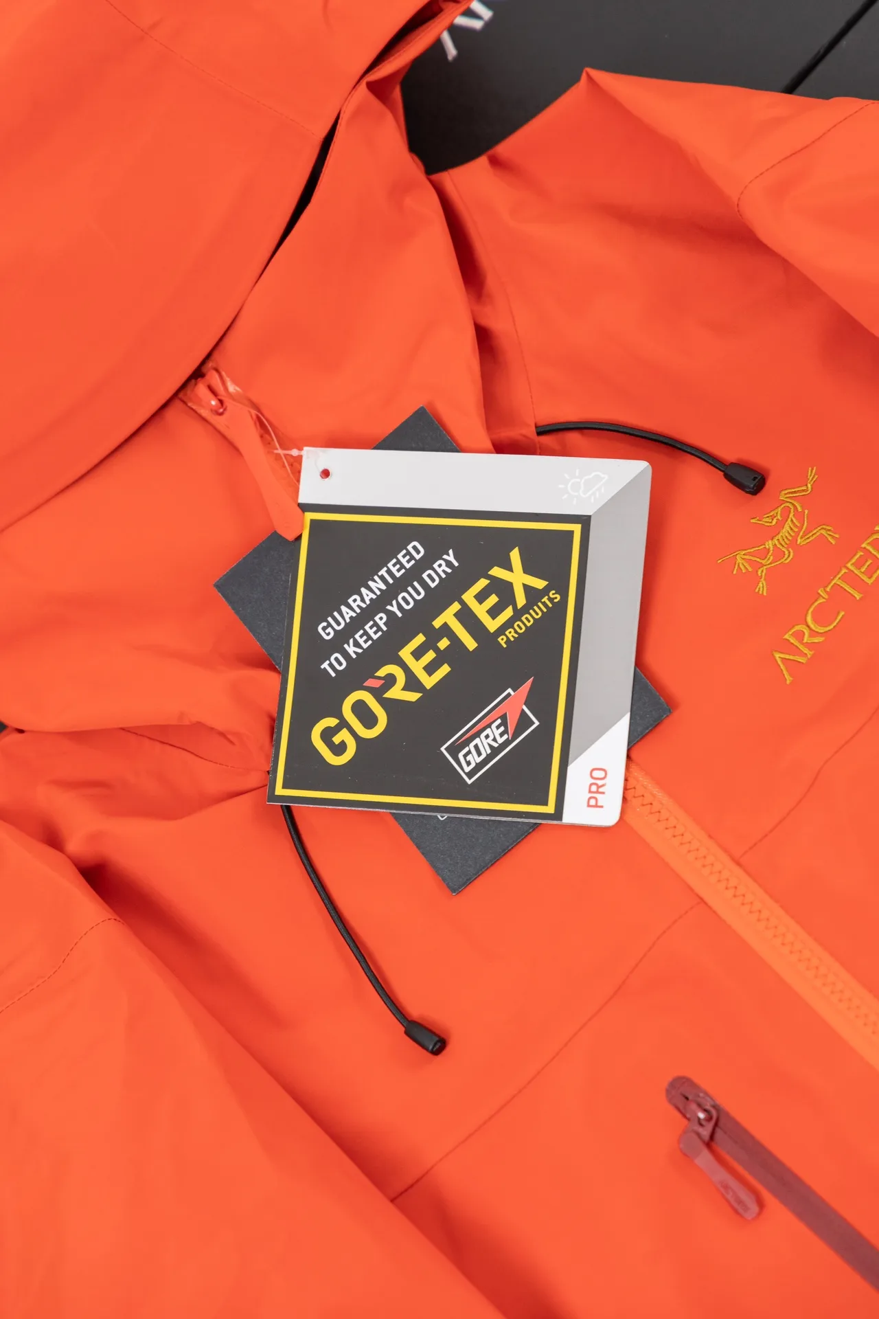 Alpha SV GORE-TEX Hooded Shell Jacket D34019489 — view 10