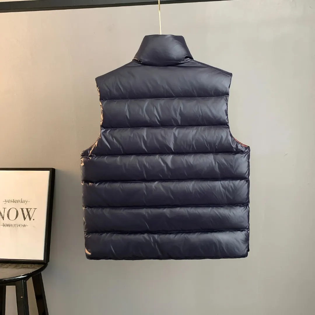 Gui Down-Filled Glossy Gilet D34023424 — view 2