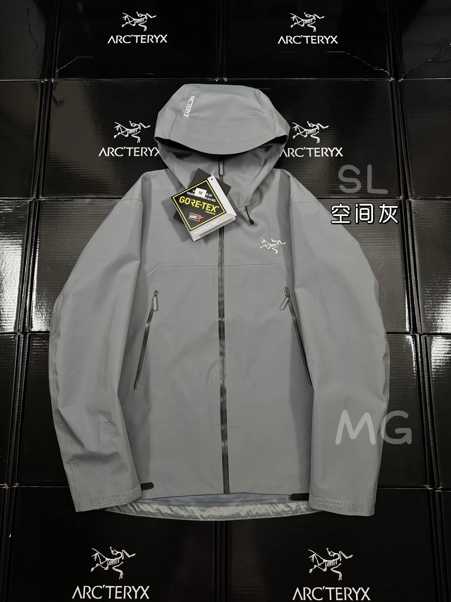 Beta SL GORE-TEX Hooded Shell Jacket D36019365