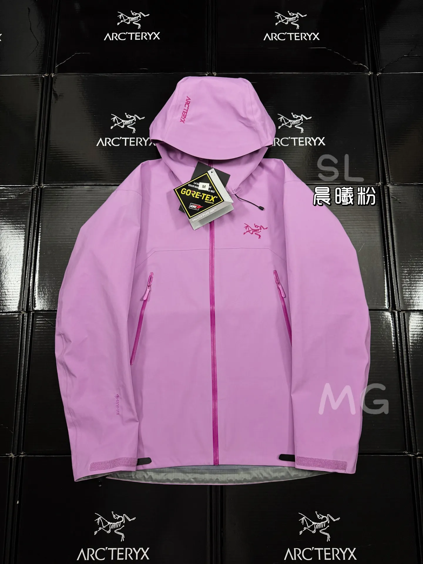 Beta SL GORE-TEX Hooded Shell Jacket D36019366