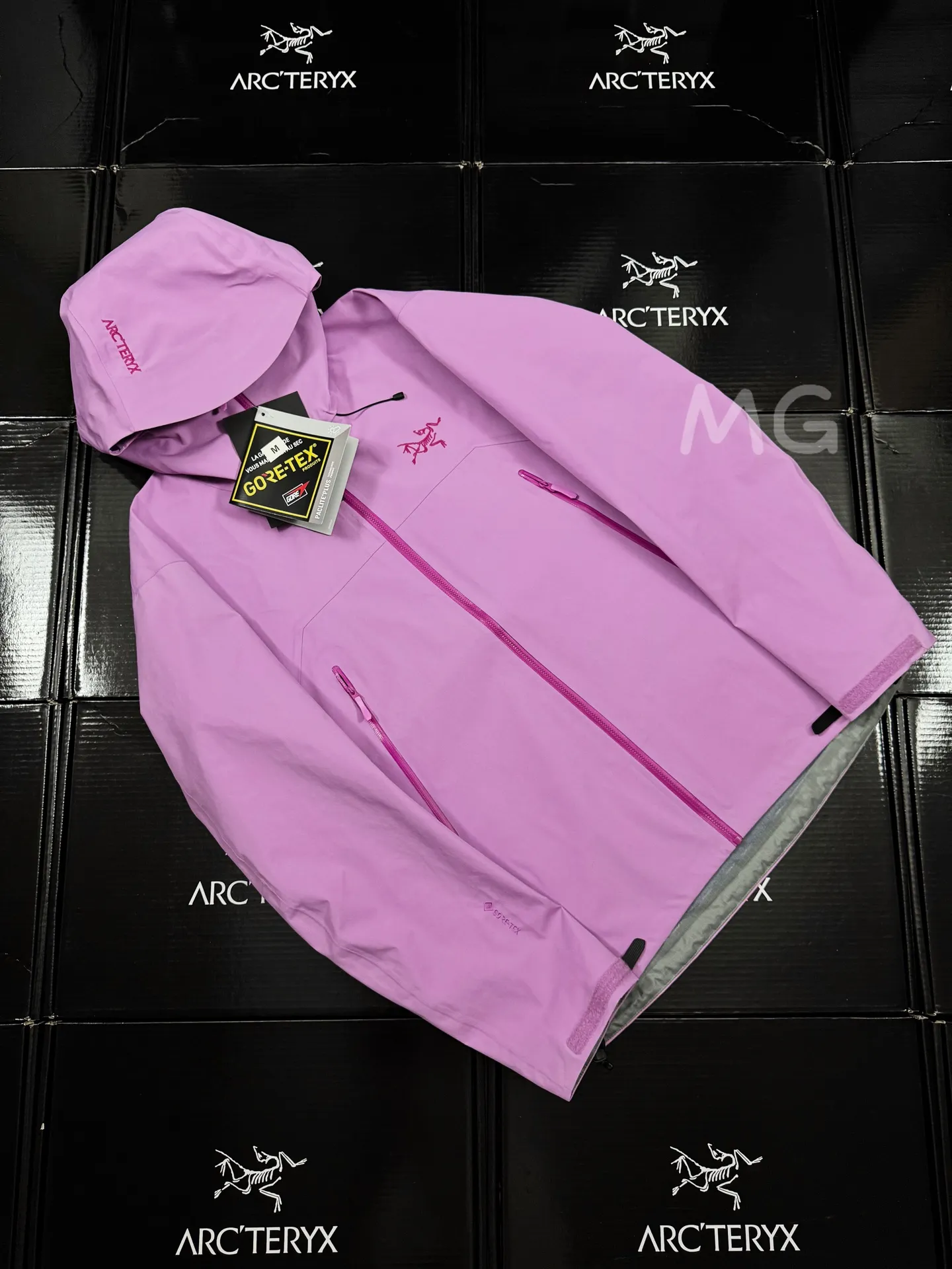 Beta SL GORE-TEX Hooded Shell Jacket D36019366 — view 2