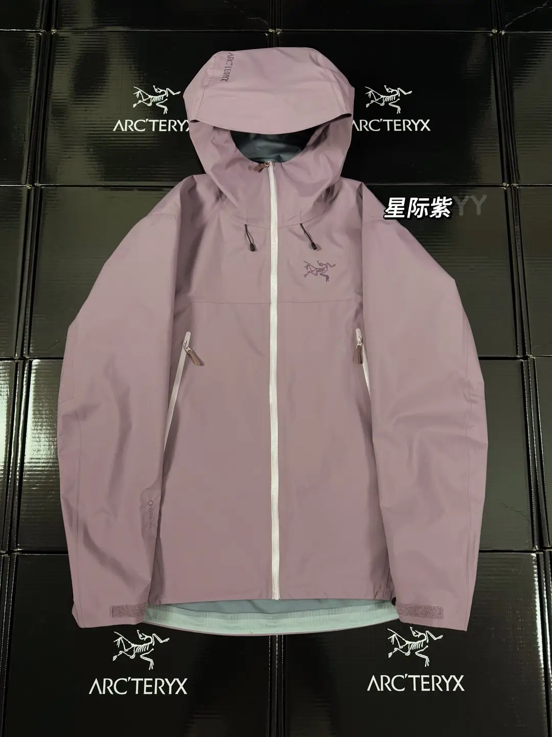 Beta SL GORE-TEX Hooded Shell Jacket D36019368
