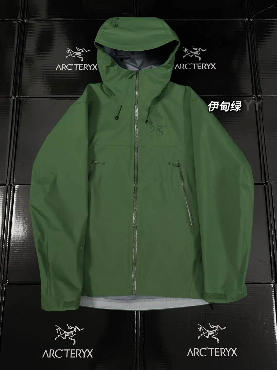Beta SL GORE-TEX Hooded Shell Jacket D36019369