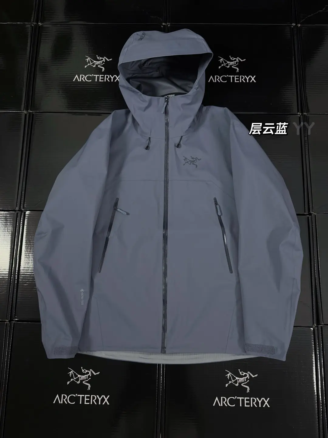 Beta SL GORE-TEX Hooded Shell Jacket D36019363
