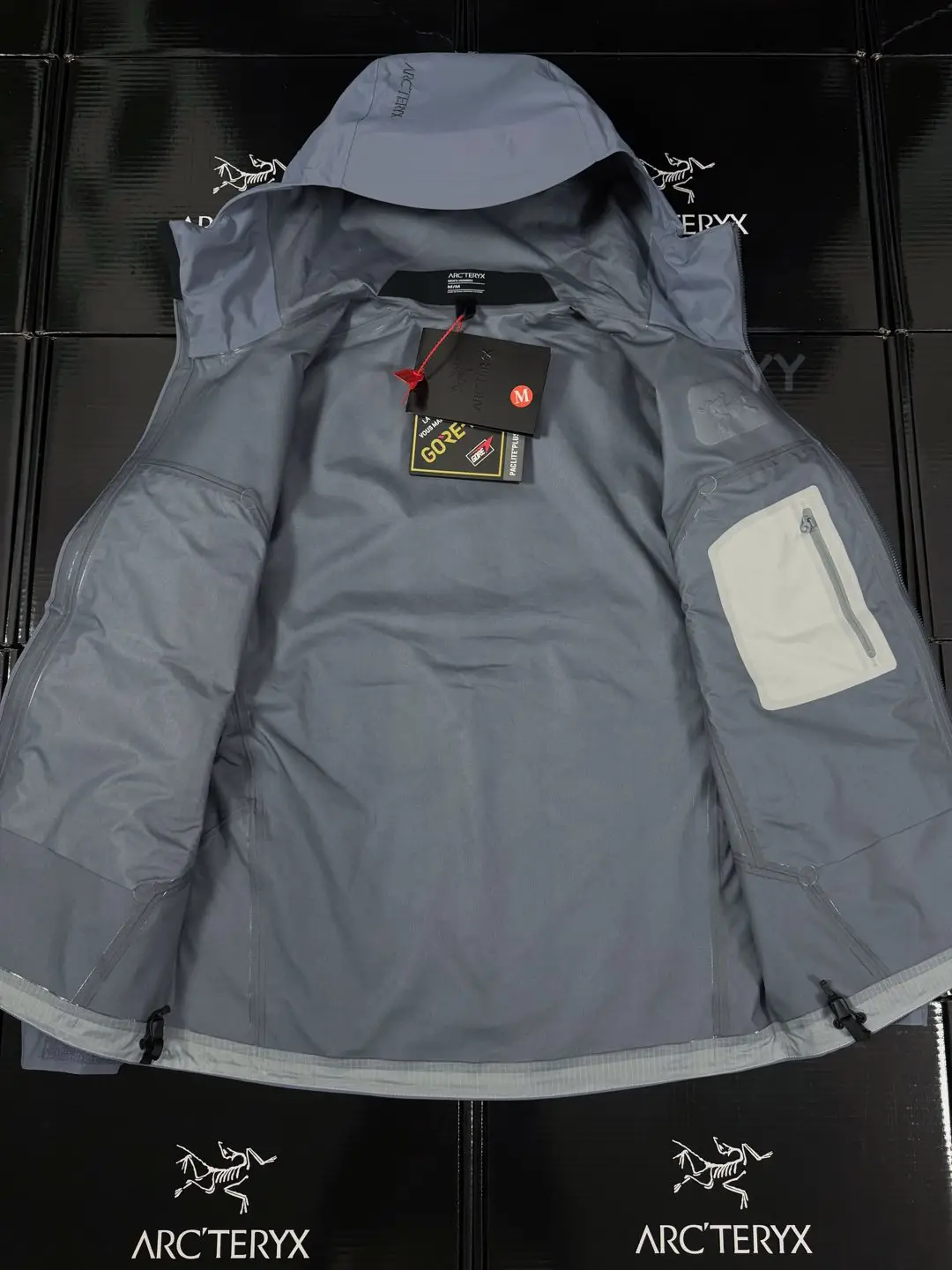 Beta SL GORE-TEX Hooded Shell Jacket D36019363 — view 3