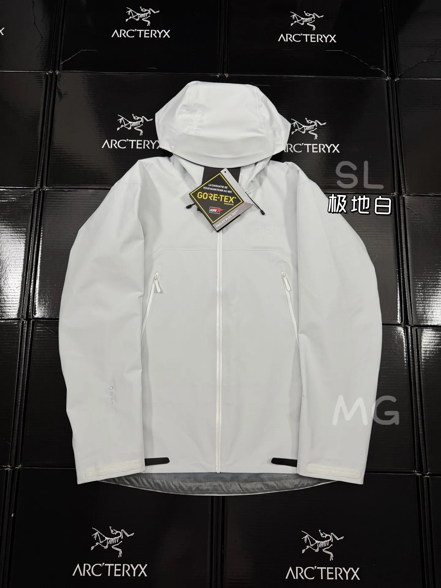 Beta SL GORE-TEX Hooded Shell Jacket D36019364