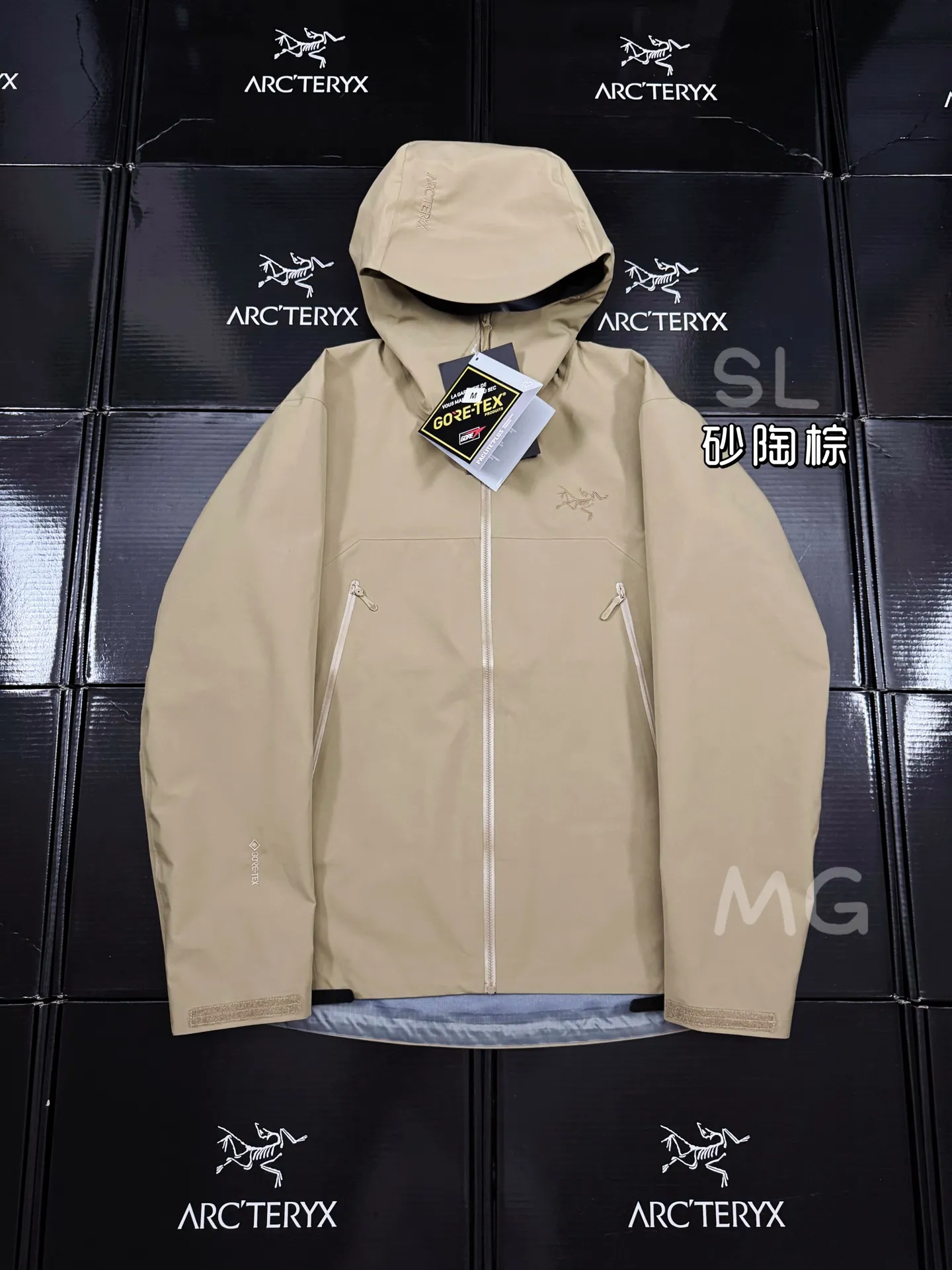 Beta SL GORE-TEX Hooded Shell Jacket D36019367