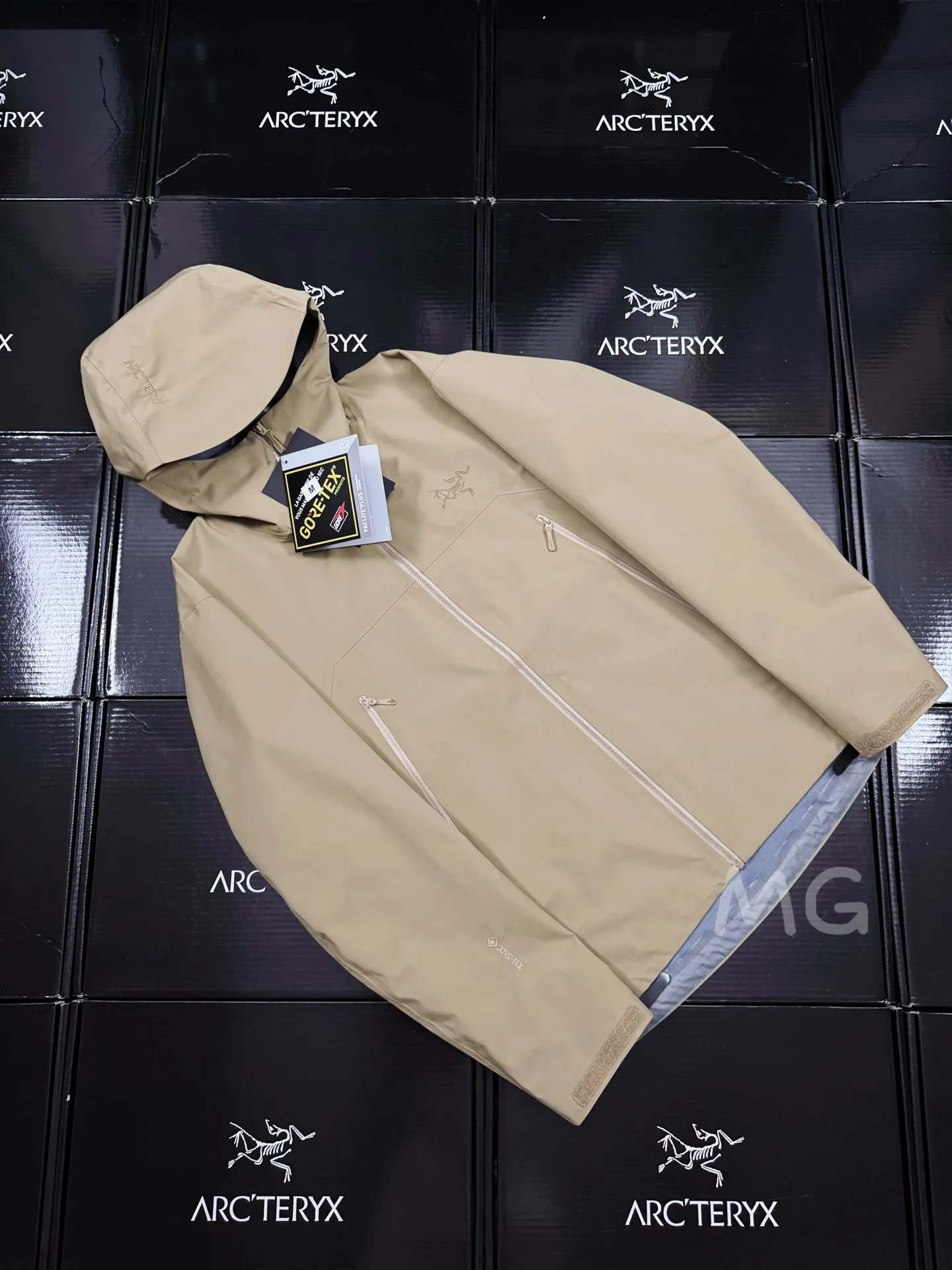 Beta SL GORE-TEX Hooded Shell Jacket D36019367 — view 2