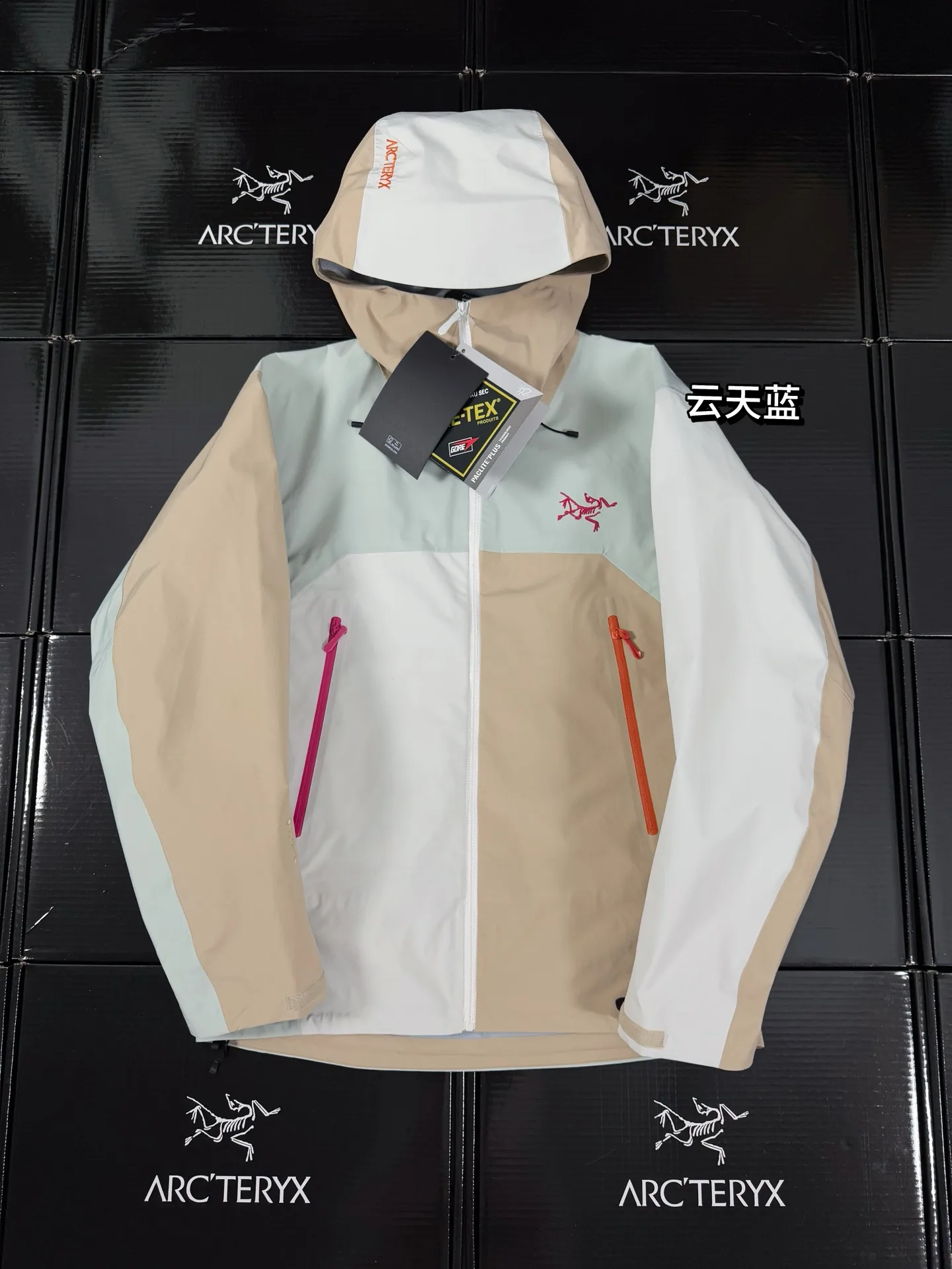 Beta Lightweight Gore-Tex Color-Block Shell Jacket D36019421