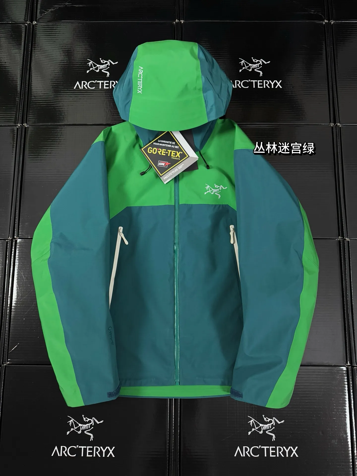 Beta Lightweight GORE-TEX Hooded Shell Jacket D36019422