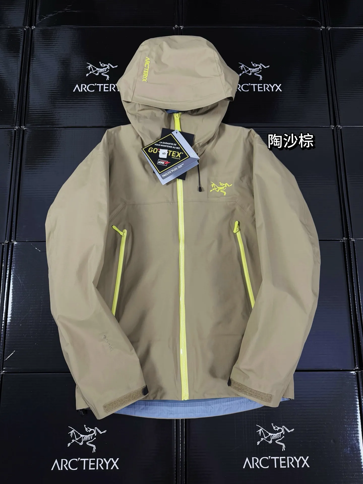 Beta Lightweight GORE-TEX Hooded Shell Jacket D36019414