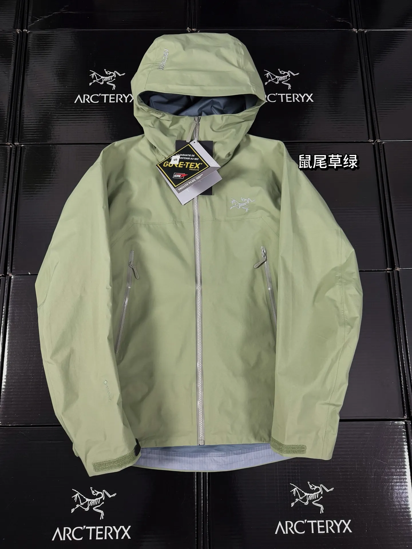 Beta Lightweight GORE-TEX Hooded Shell Jacket D36019415