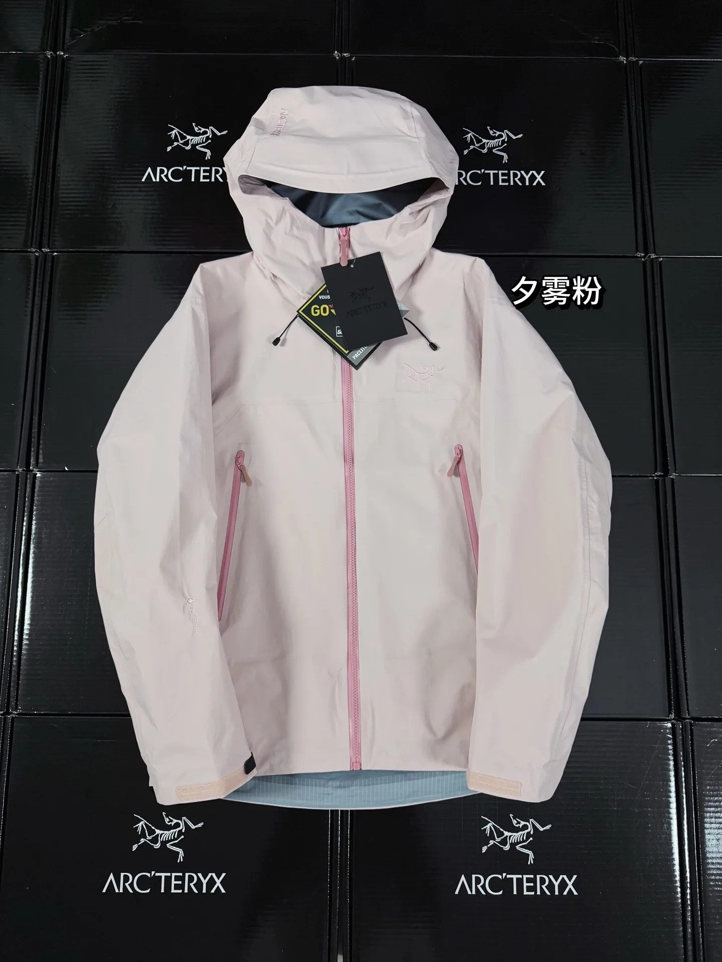 Beta Lightweight GORE-TEX Hooded Jacket D36019419