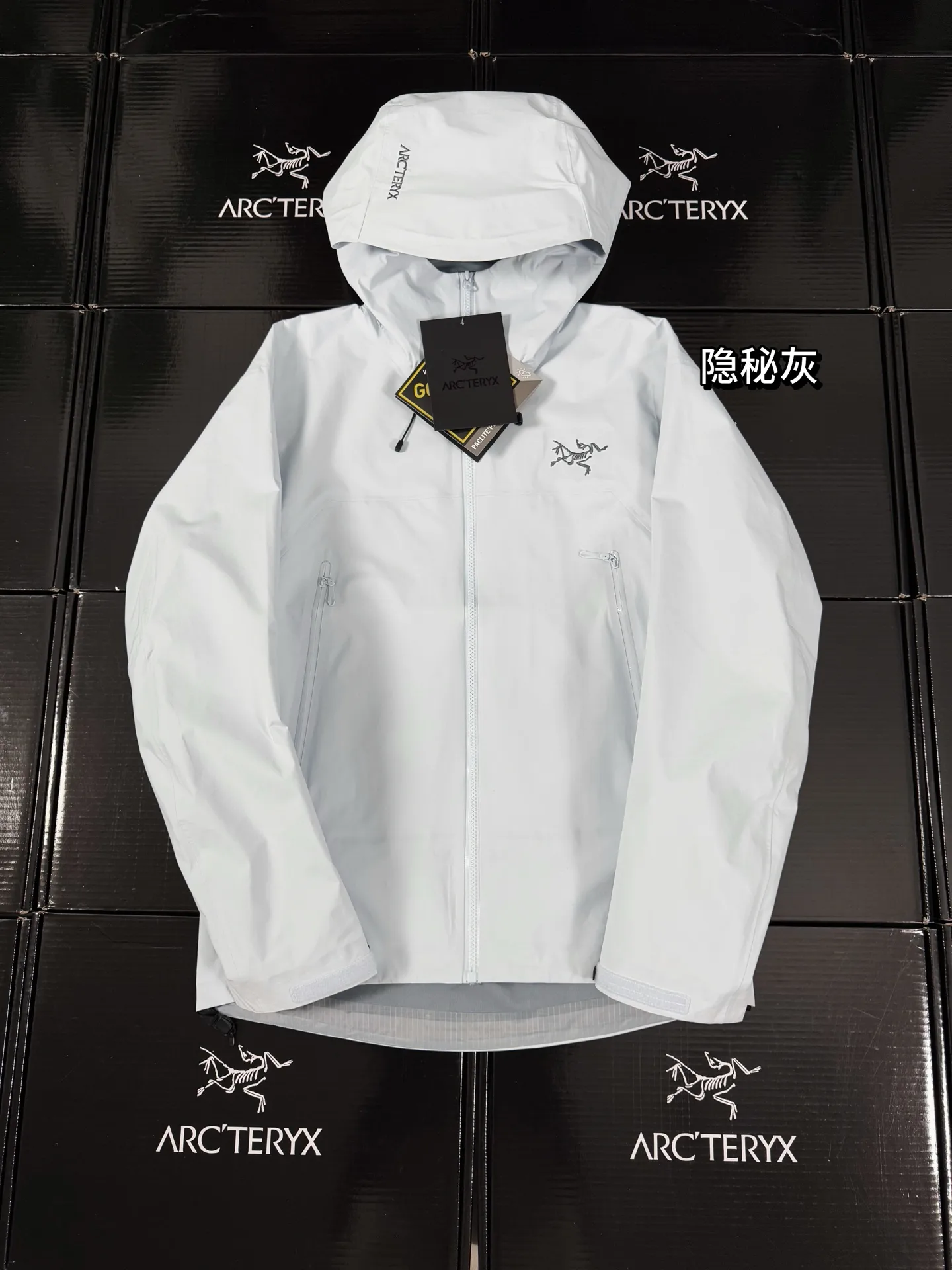 Beta Lightweight GORE-TEX Hooded Shell Jacket D36019417