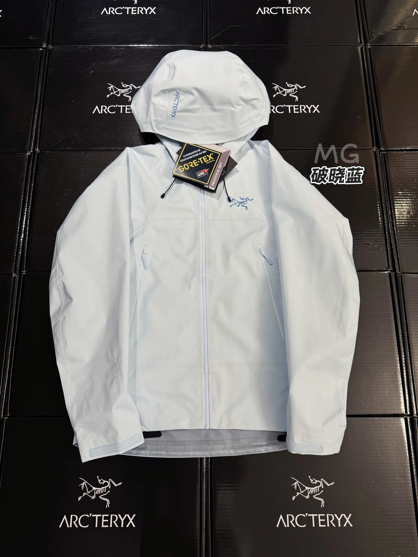 Beta Lightweight GORE-TEX Hooded Jacket D36019413