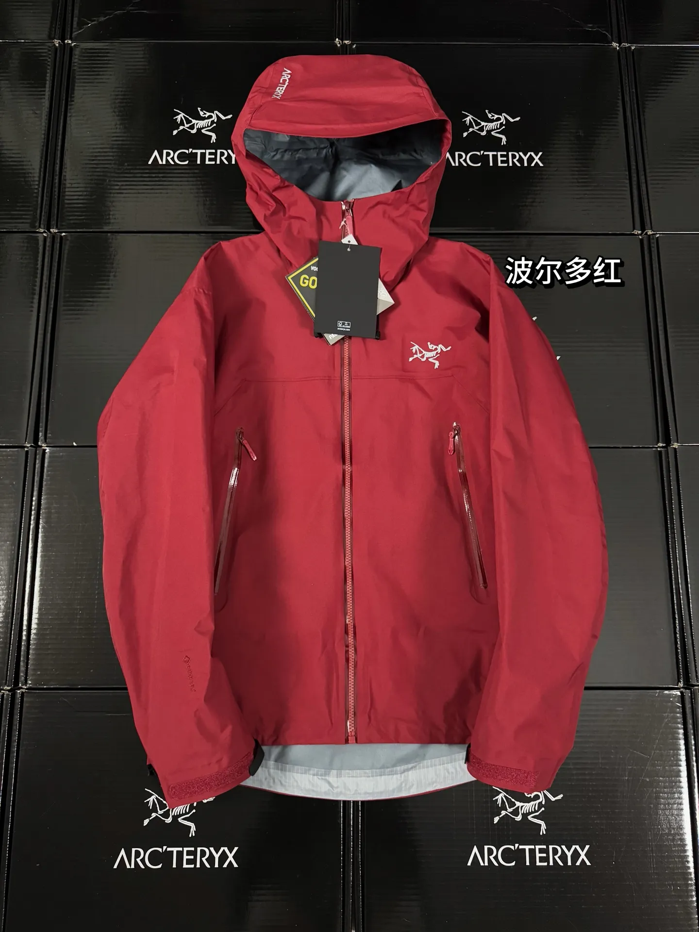 Beta Lightweight GORE-TEX Hooded Shell Jacket D36019416