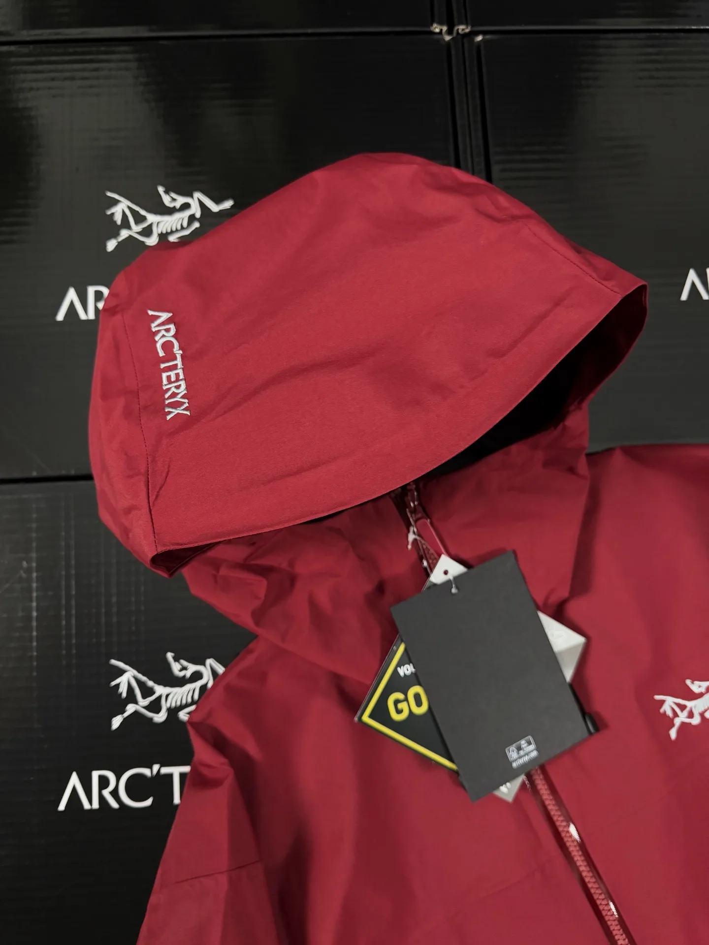Beta Lightweight GORE-TEX Hooded Shell Jacket D36019416 — view 6
