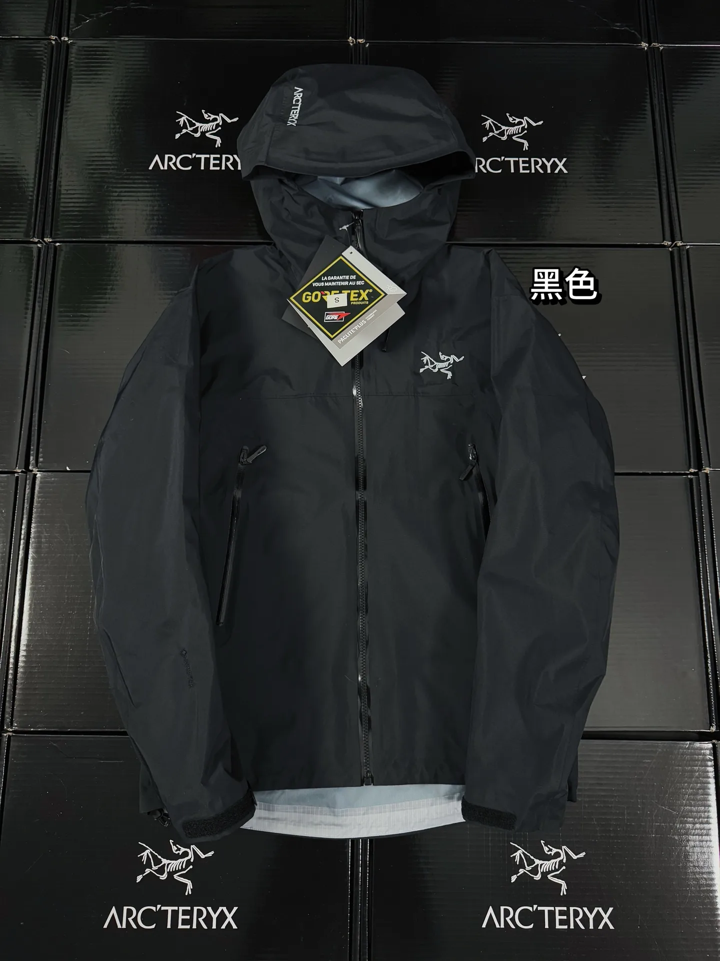 Beta Lightweight GORE-TEX Hooded Jacket D36019420