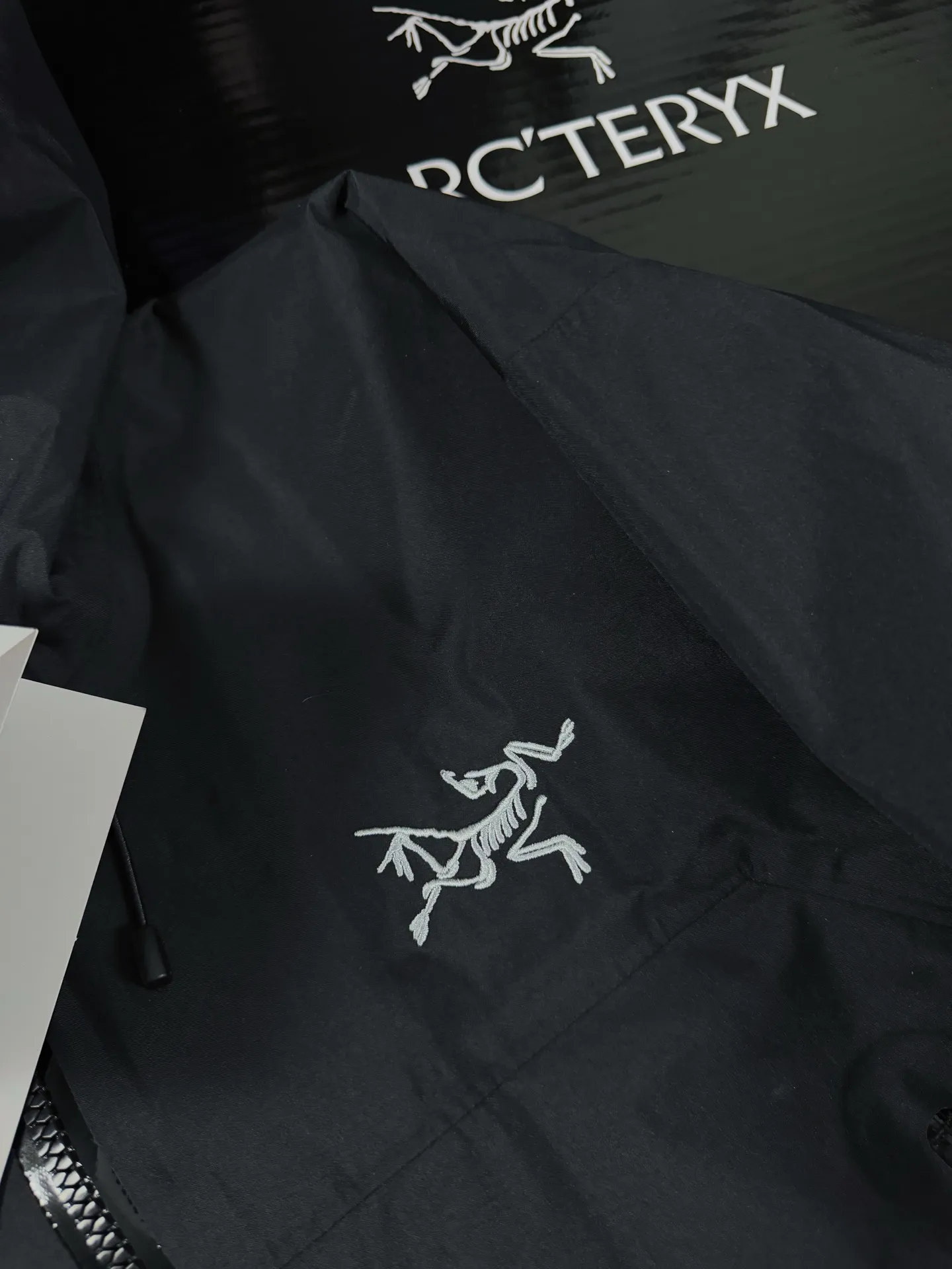 Beta Lightweight GORE-TEX Hooded Jacket D36019420 — view 2