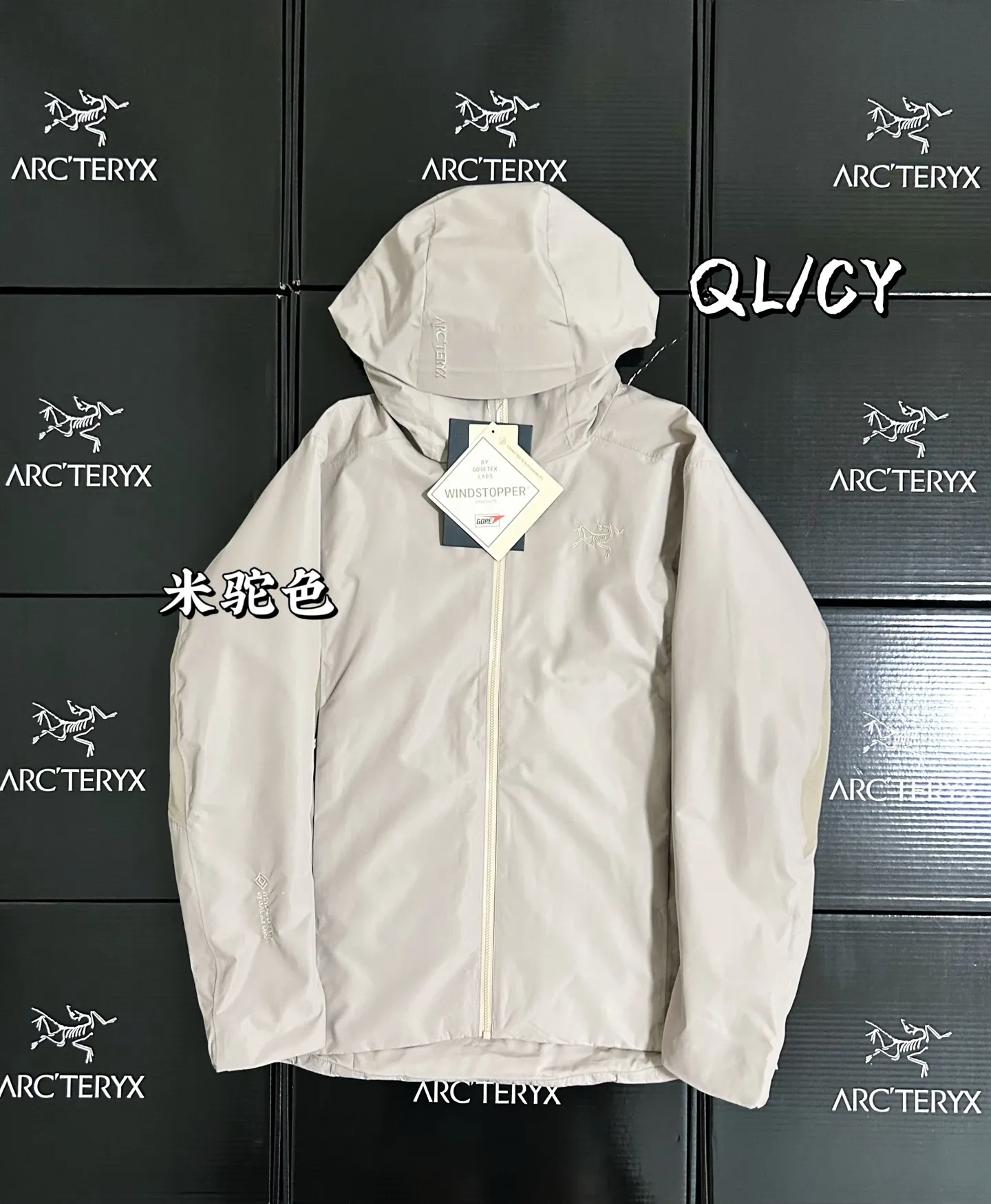 Solano GORE-TEX Insulated Hooded Jacket D36019568