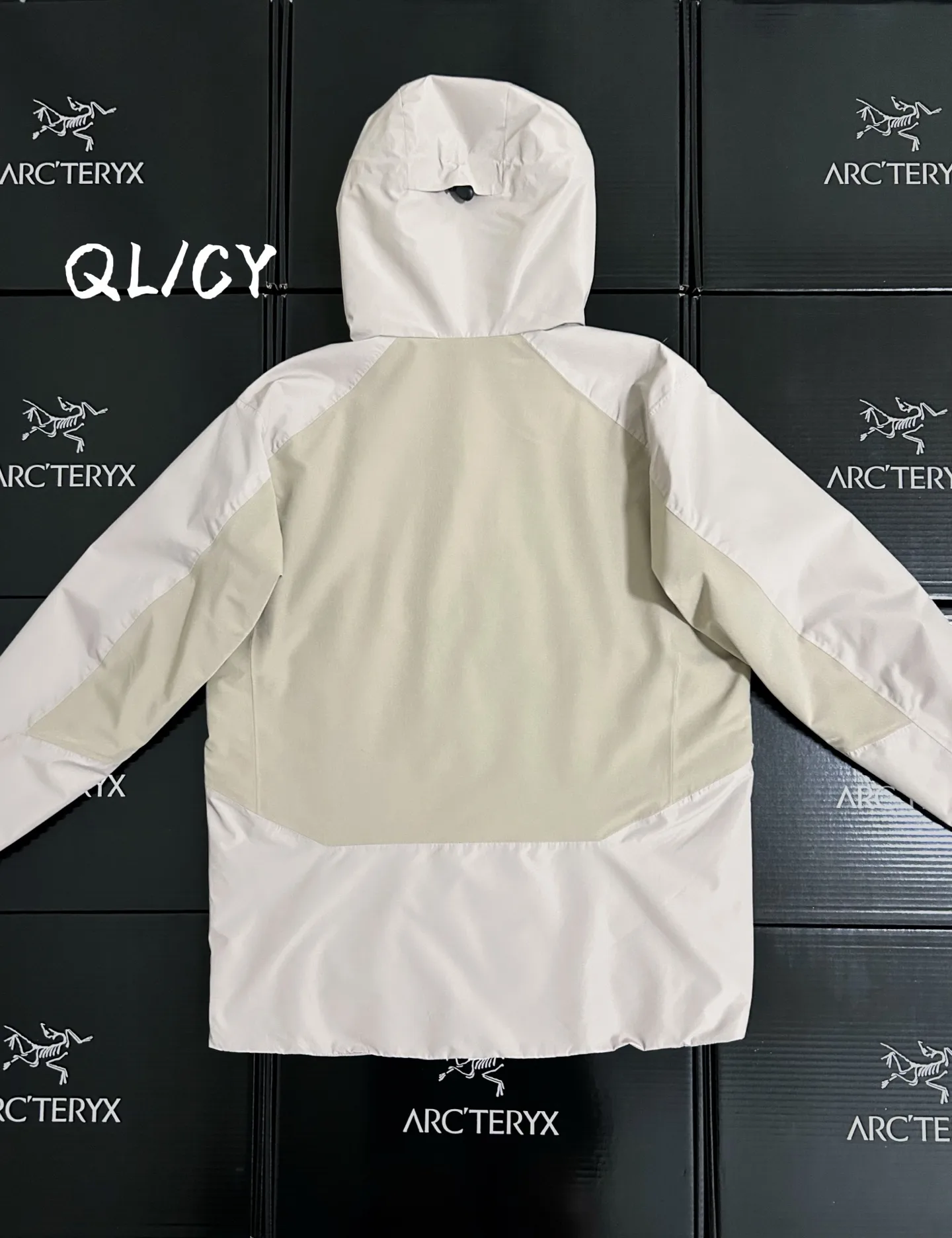 Solano GORE-TEX Insulated Hooded Jacket D36019568 — view 9